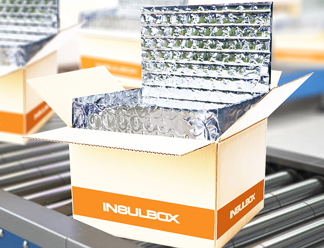 InsulBox